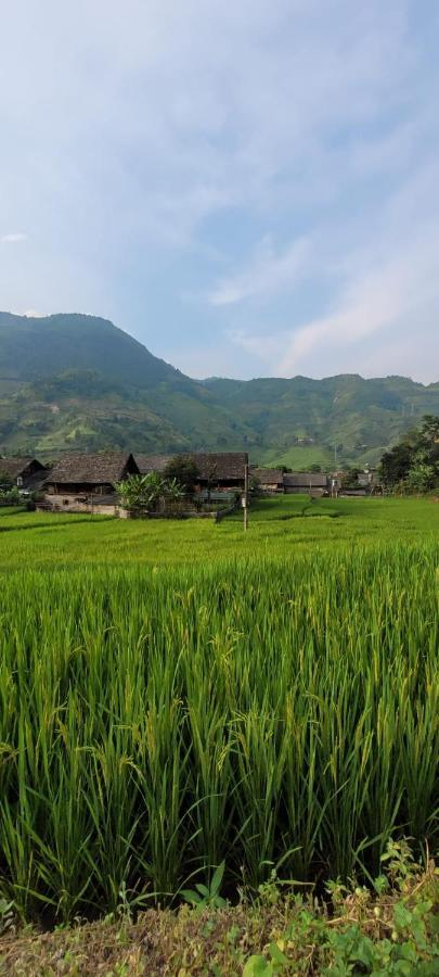 Organic Farm Homestay Sa Pa Exterior photo