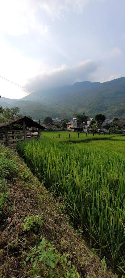 Organic Farm Homestay Sa Pa Exterior photo
