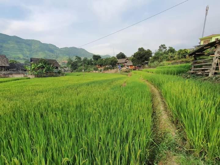 Organic Farm Homestay Sa Pa Exterior photo